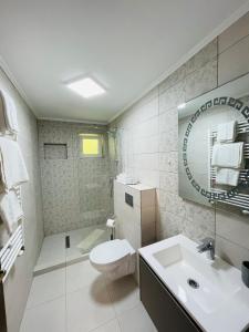 布什泰尼Pensiunea Sport的一间带卫生间、水槽和镜子的浴室
