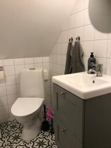 奇维克Österlens bä och bädd的一间带卫生间和水槽的浴室