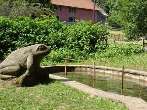 勒奥瓦尔德Auberge d'Hôtes l'Instant的坐在草地上的青蛙雕像