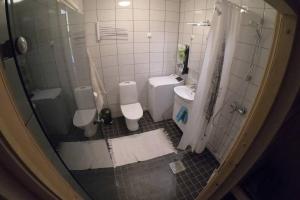 科林基拉Saunallinen kaksio, asunto Kolin Kolo的浴室设有2个卫生间、水槽和淋浴。