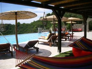 派莱卡斯Green Hill Resort的一个带椅子和遮阳伞的游泳池的度假酒店