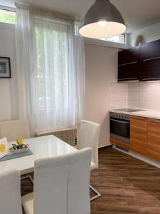 Nagyerdei Rózsahegy 1 Apartman Greatforest Rosehill 1 Apartment的厨房或小厨房