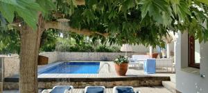桑特佩尔佩斯卡多尔Villa Mas Sopes的游泳池周围种有树和椅子