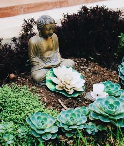 圣克里斯托瓦尔-德拉斯卡萨斯Ganesha Hotel的佛陀雕像,坐在一些植物旁边