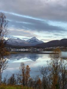 特罗姆瑟Håkøya Lodge的享有以山脉为背景的湖泊美景