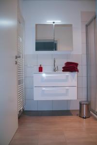 维岑豪森Premium Ferienwohnung Südsonne的浴室设有白色水槽和镜子