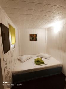 马赫穆迪亚Pontonul lui Cristian的一间小型白色客房,配有一张带电视的床