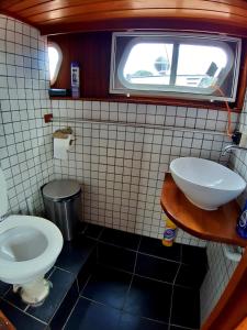 阿姆斯特丹Motor Yacht Amstelle的一间带卫生间和水槽的小浴室