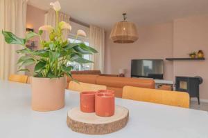 布兰肯贝赫Vakantiewoning voor 12 met garages terras tuin的相册照片