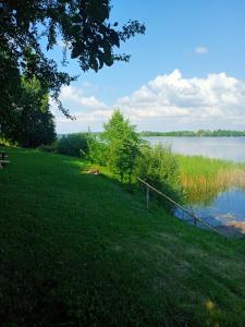 BurniszkiAgroturystyka u Basi的享有湖景的草地