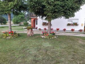 Donji Babin PotokRooms Danica的院子中两棵树和鲜花的房子