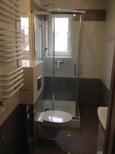 Zaścianki森林边缘别墅民宿的一间带卫生间和玻璃淋浴间的浴室