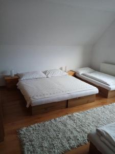 斯祖贝莱克Ubytovanie u Lenky的配有地毯的客房内的两张床