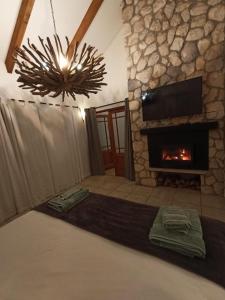 干斯拜克雷西海滨旅馆的客厅设有石制壁炉和毯子。