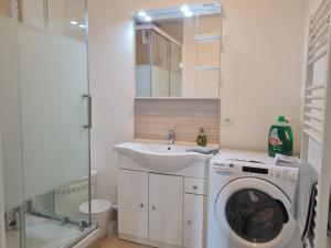 蒙泰夫兰Grand Appartement Dreams的一间带洗衣机和水槽的浴室