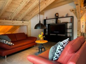 塔什"alti Post" zentralgelegene, stilvolle Dachwohnung的客厅配有两张真皮沙发和一台电视机