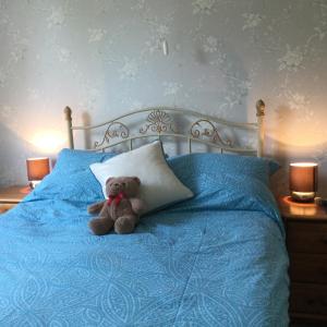 迪尔Endearing Edwardian House in Quaint Deal, Kent的泰迪熊坐在床上,带枕头