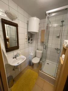 沃姆扎Janówka的浴室配有卫生间、盥洗盆和淋浴。