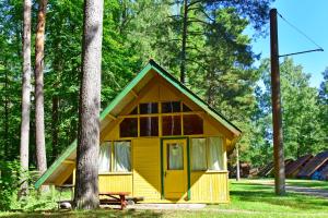尤尔马拉Camping Vaivari Jūrmala的树林里一个小黄房子