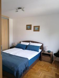 萨拉热窝Apartman Alina - free public parking的一间卧室配有一张带蓝色枕头的大床