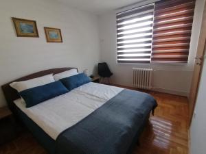 萨拉热窝Apartman Alina - free public parking的一间卧室配有一张带蓝色枕头的床和一扇窗户。