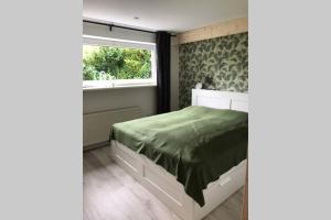 霍恩-巴特迈恩贝格FeWo WaldLiebe的一间卧室配有一张带绿色棉被的床和窗户。