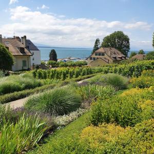 尼翁Appartement Entre Monts et Lac court et moyen séjour的山坡上种有植物和花卉的花园