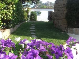 阿比亚多利尼亚利西亚住宿加早餐旅馆的草上种着紫色花的花园