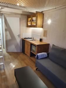 昂热Tiny House Cosy 2 - Angers Green Lodge的带沙发的客厅和厨房