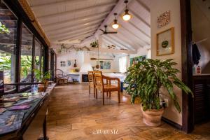 布希奥斯Morada do Sol Guest House的一间设有桌子和盆栽的房间