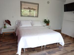 佩雷拉Tierra Negra Suite的卧室配有白色的床和镜子