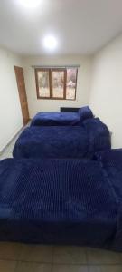 普尔马马尔卡Lo del Chango的一间设有四张床的客房,配有蓝色床单