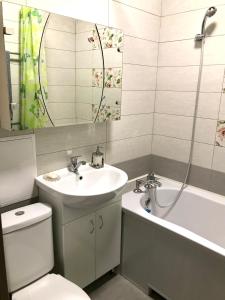 第聂伯罗Apartments O.Polya ( Kirova) 106的浴室配有盥洗盆、卫生间和浴缸。