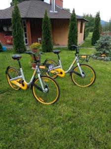 斯瓦拉瓦Karpatska Forel的两辆自行车停在房子前面的草地上