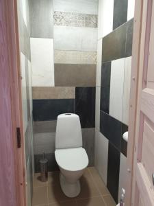 TüriTüri Vibukooli majutus的一间位于客房内的白色卫生间的浴室