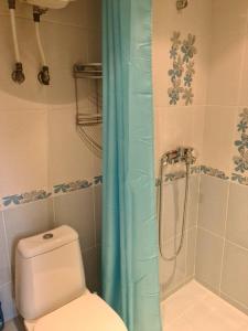 鲁塞ЗАРА的浴室设有卫生间和带浴帘的淋浴。