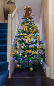 兰波特维斯小屋度假屋的楼梯上灯的圣诞树