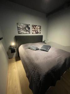 阿克雷里Arctic Loft Apartments的一间卧室配有一张带两个枕头的床
