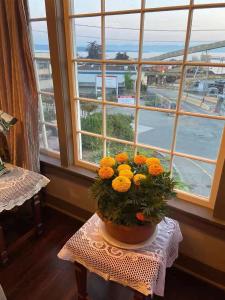 鲍威尔里弗罗德麦酒店的花瓶坐在窗前的桌子上