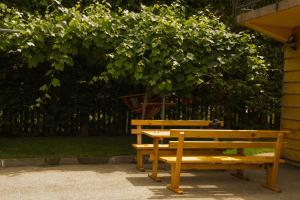 普卢日内Apartment Silence的木凳坐在大树下