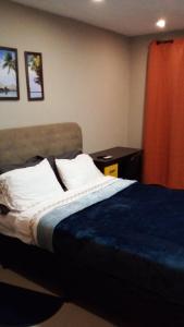 阿蒂加斯N1 1 Apartamento Completo 2 Dormitorios en Centro de Artigas的一间卧室配有一张带蓝色毯子和白色枕头的床。