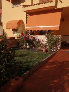 夸尔图-圣埃莱娜Domomea的遮阳篷,一些植物和花卉的房子