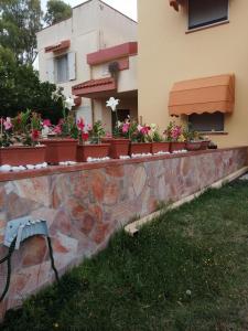夸尔图-圣埃莱娜Domomea的房屋上带有盆栽植物的挡墙