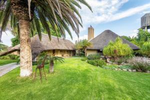 奥奇瓦龙戈Frans Indongo Lodge的茅草屋顶的房子和棕榈树庭院