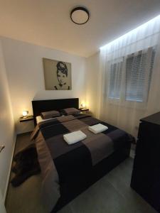 BogatićKoVeL apartmani - Termalna Rivijera的一间卧室配有一张大床和两个枕头