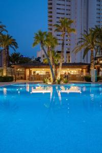 贝尼多姆Hotel BCL Levante Club & Spa 4 Sup - Only Adults Recomended的一座棕榈树和建筑的大型游泳池