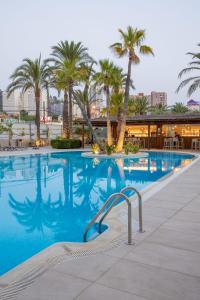 贝尼多姆Hotel BCL Levante Club & Spa 4 Sup - Only Adults Recomended的度假村内棕榈树游泳池