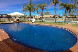 穆尔瓦拉Sun Country Lifestyle Park的一个种有棕榈树的大型蓝色游泳池