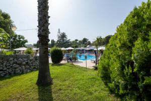 圣凯撒利亚温泉圣塔露西亚酒店的庭院里的棕榈树,设有游泳池