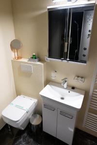 特伦钦Penzión Deloris的一间带卫生间、水槽和镜子的浴室
